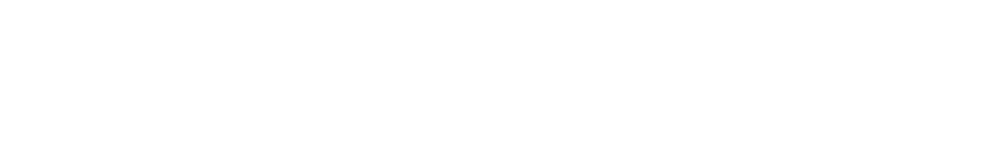 Damlex Realty